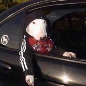 Meet your Posher, Kyle